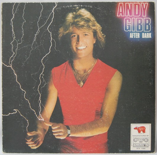 Andy Gibb - After dark 
