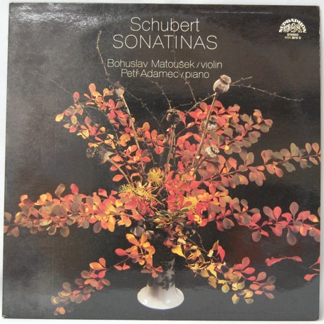 Franz Schubert - Sonatiny pro housle a klavír 